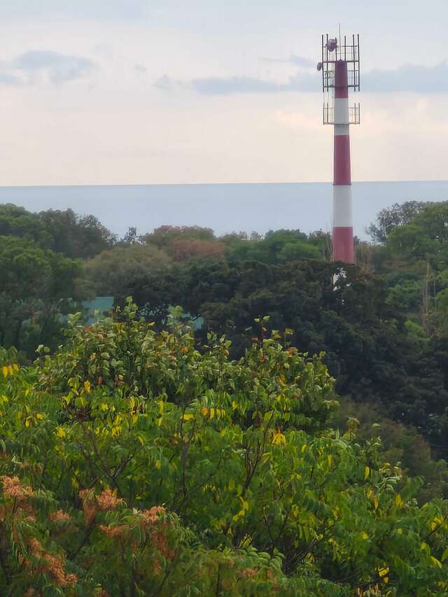 Гостиница Белла Виста Геленджик-84